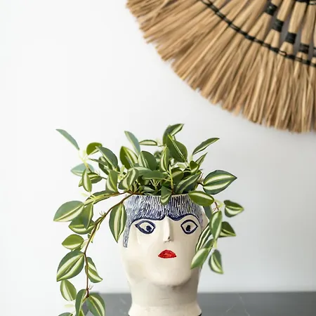 Katerina & Stefanos Family Архангелос